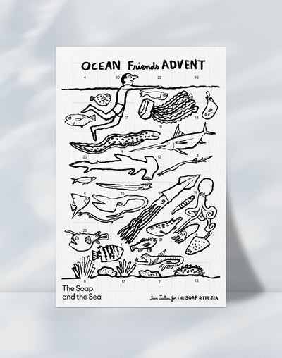 Ocean Friends Advent