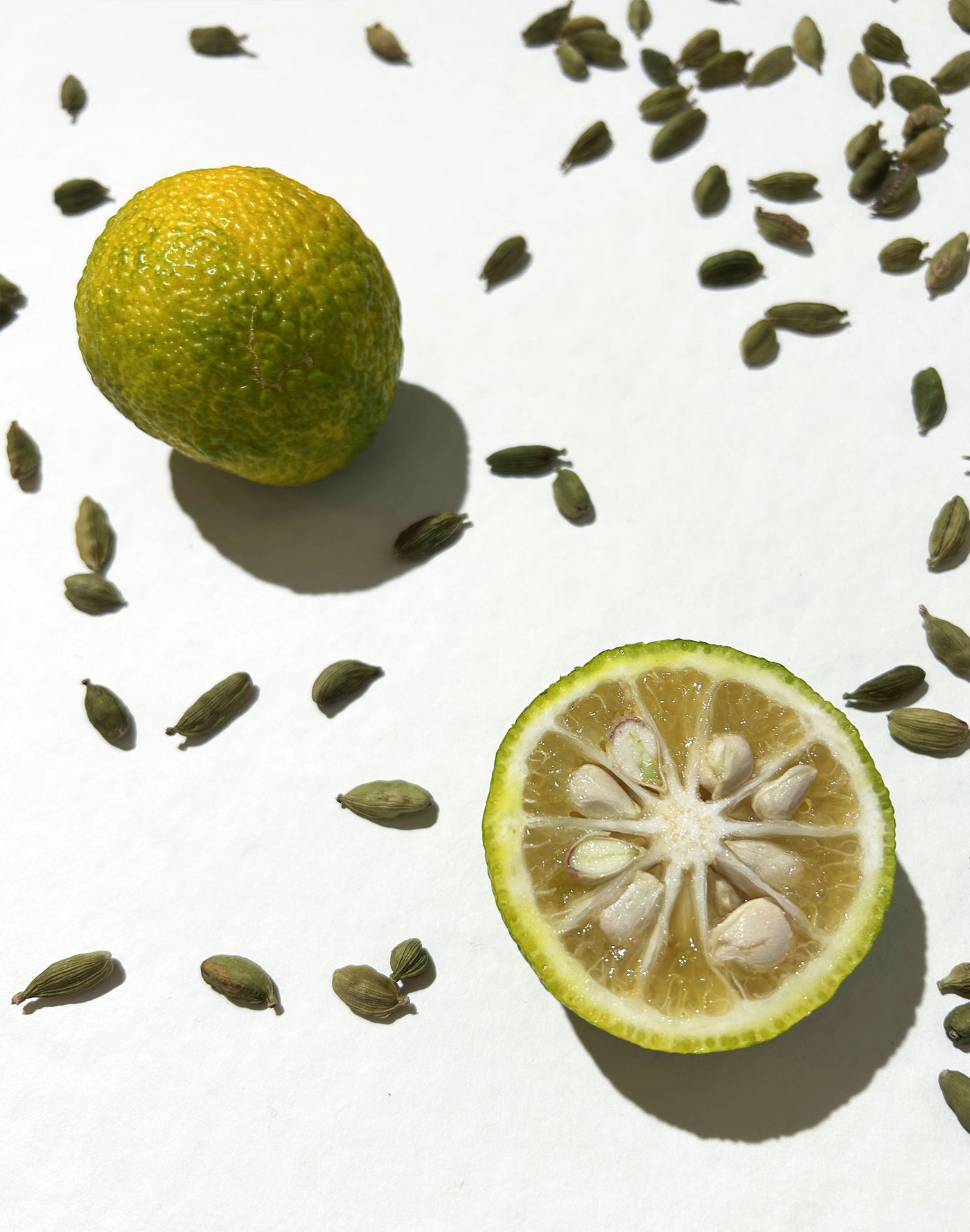 Bergamot & Cardamom Organic Liquid Soap